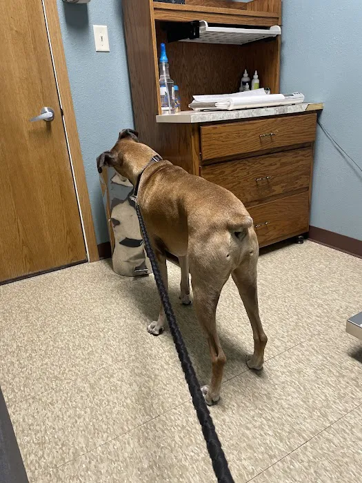 Pondview Veterinary Clinic Picture 2