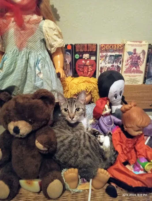 Jefferson Veterinary Clinic Picture 4