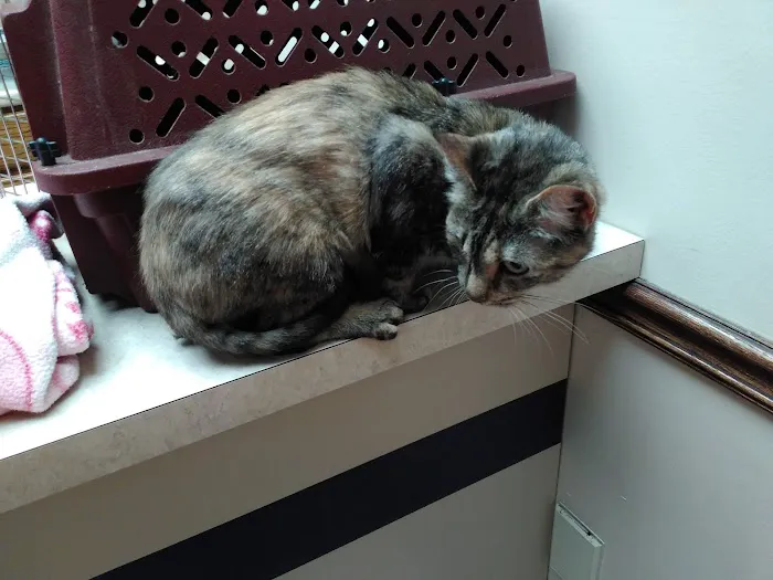Dupont Veterinary Clinic Picture 10