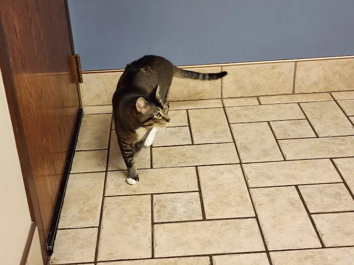 Dupont Veterinary Clinic Picture 6