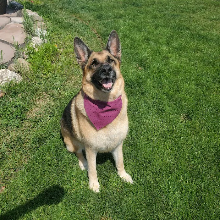 Dupont Veterinary Clinic Picture 9