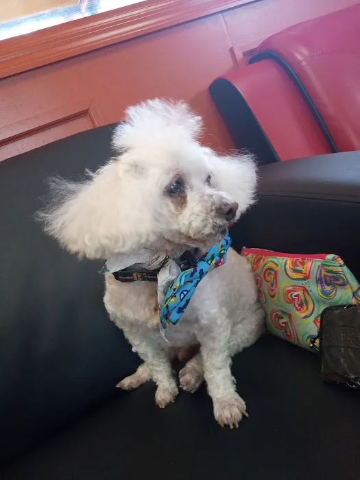 Dupont Veterinary Clinic Picture 3