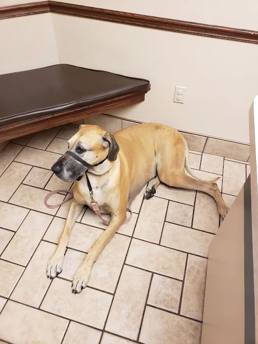 Dupont Veterinary Clinic Picture 2