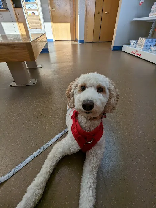 Pine Valley Veterinary Clinic Picture 9