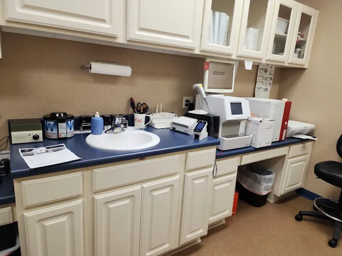 Pine Valley Veterinary Clinic Picture 2