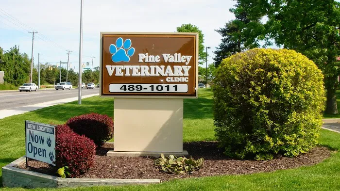 Pine Valley Veterinary Clinic Picture 4