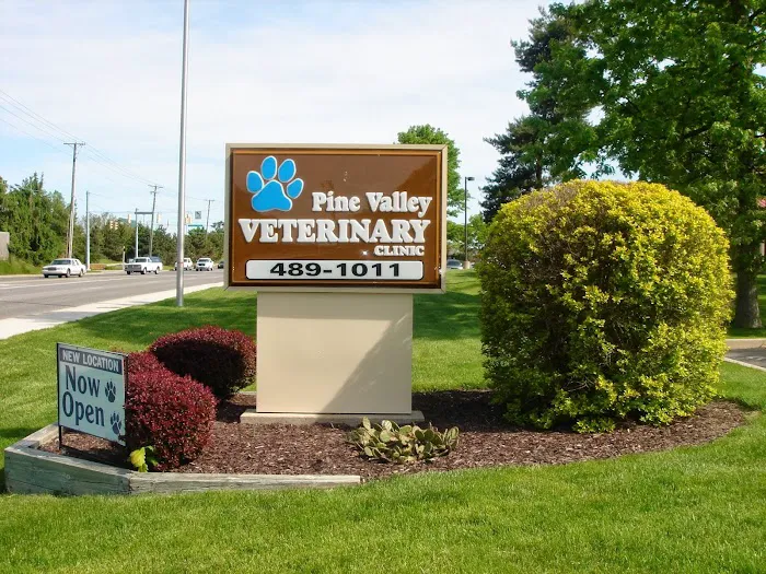 Pine Valley Veterinary Clinic Picture 10