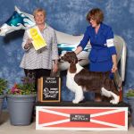 Pine Valley Veterinary Clinic