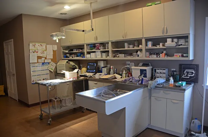 Portland Veterinary Clinic Picture 5