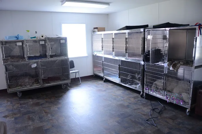 Portland Veterinary Clinic Picture 2