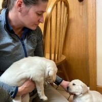 Smith Veterinary Hospital ico