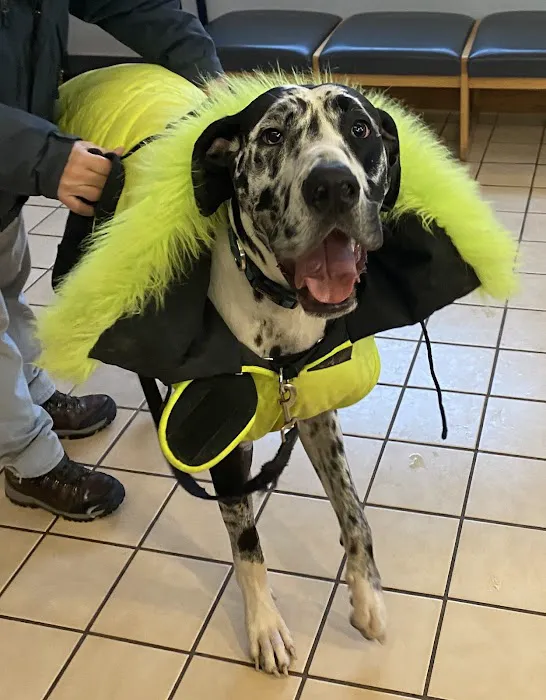 Smith Veterinary Hospital Picture 9