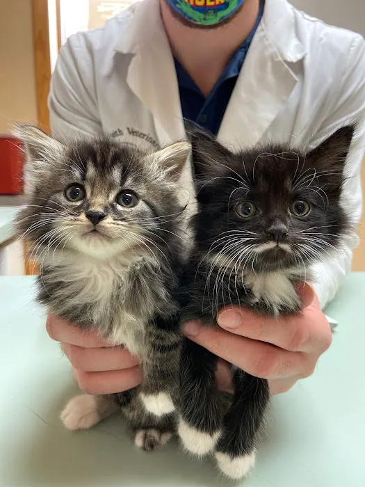 Smith Veterinary Hospital Picture 5