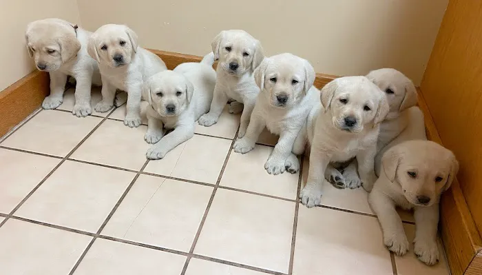 Smith Veterinary Hospital Picture 6
