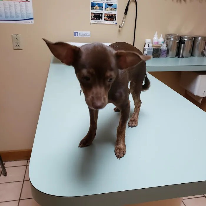 Smith Veterinary Hospital Picture 7