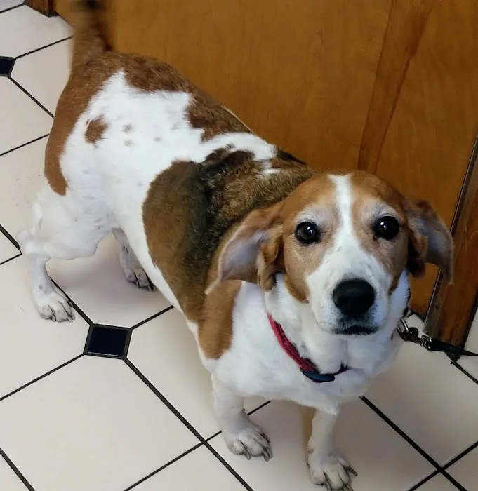 Redkey Veterinary Clinic Picture 4