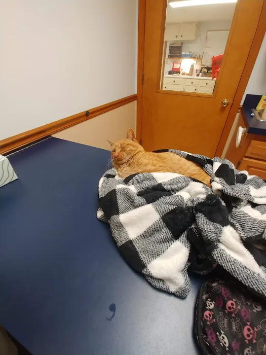 Redkey Veterinary Clinic Picture 1