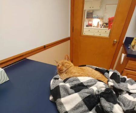 Redkey Veterinary Clinic