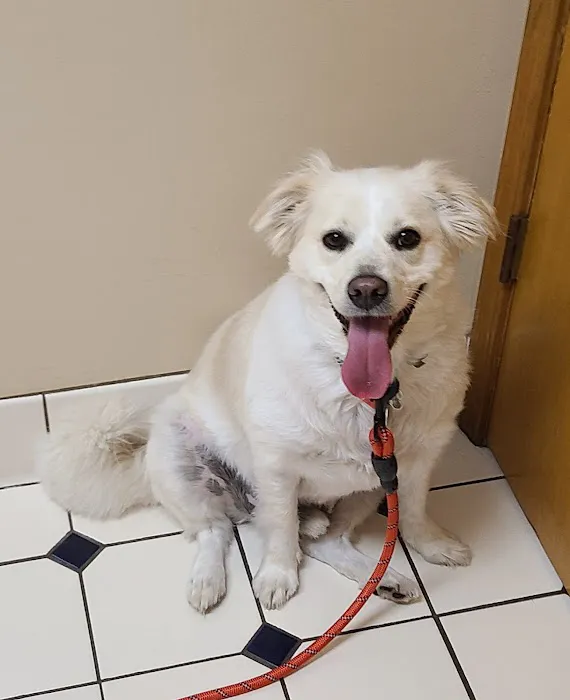 Redkey Veterinary Clinic Picture 7