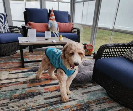 Powdersville Animal Hospital