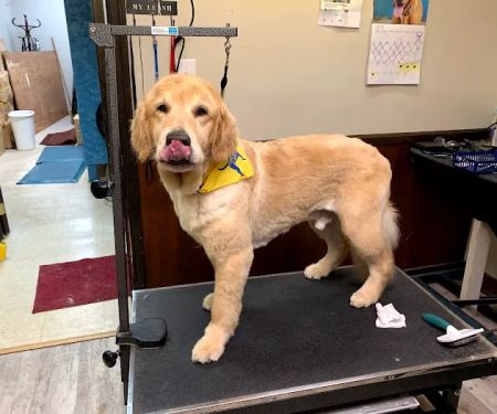 Forest Acres Animal Hospital