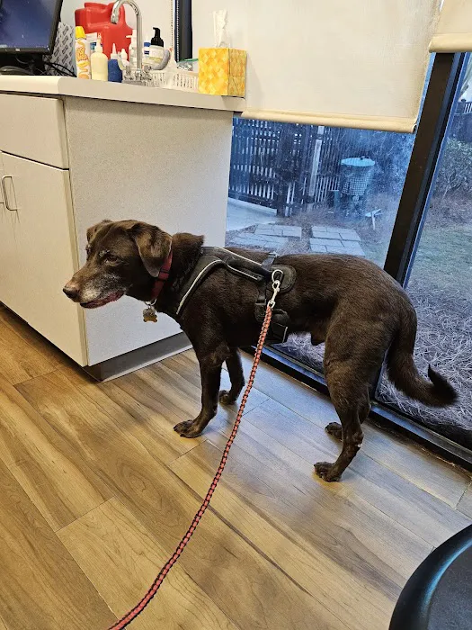 Four Paws Animal Clinic Picture 4