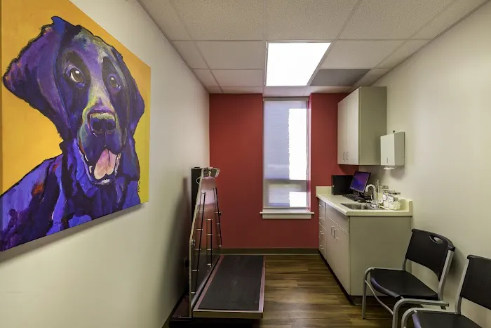 Four Paws Animal Clinic Picture 5