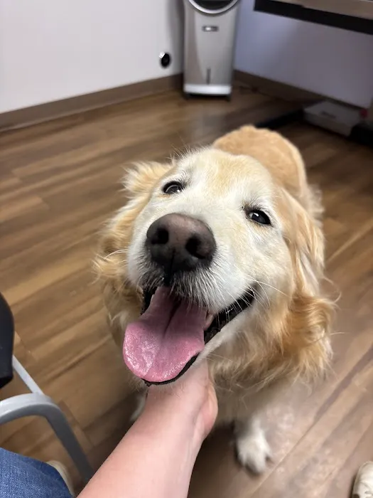 Four Paws Animal Clinic Picture 3