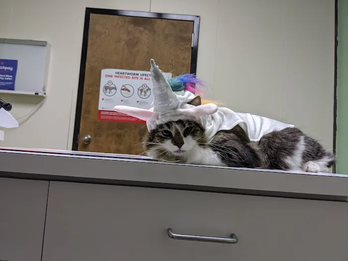 Griffin Animal Hospital Picture 7