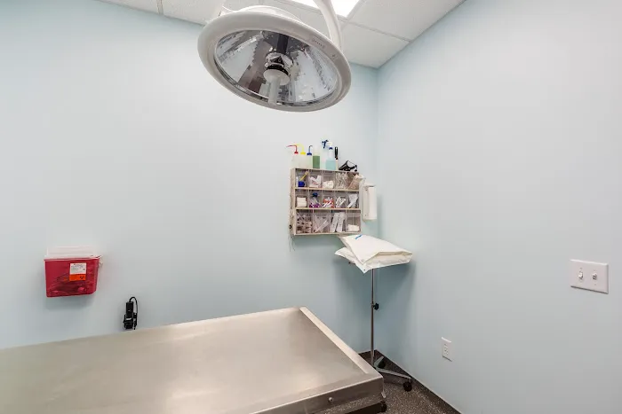 The Cat Clinic Picture 2
