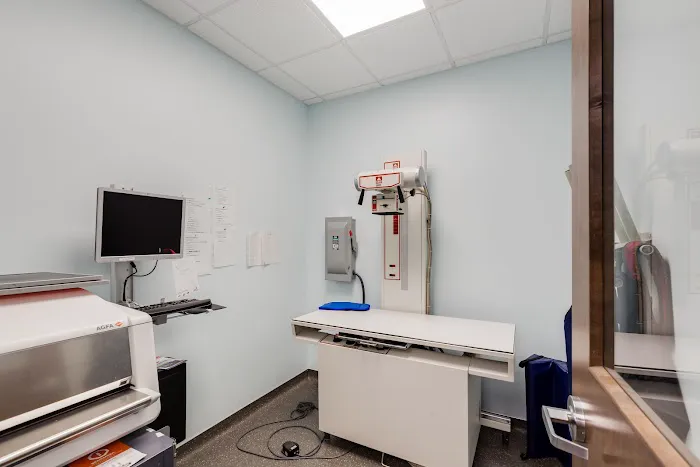 The Cat Clinic Picture 1