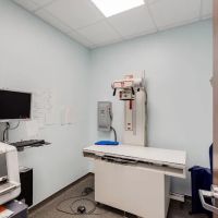 The Cat Clinic ico