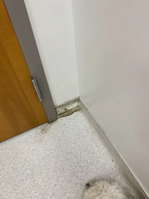 Fort Jackson Vet Clinic Picture 10