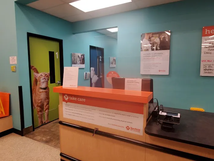 Banfield Pet Hospital Picture 8