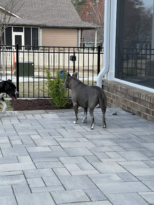 Capital Animal Hospital Picture 1