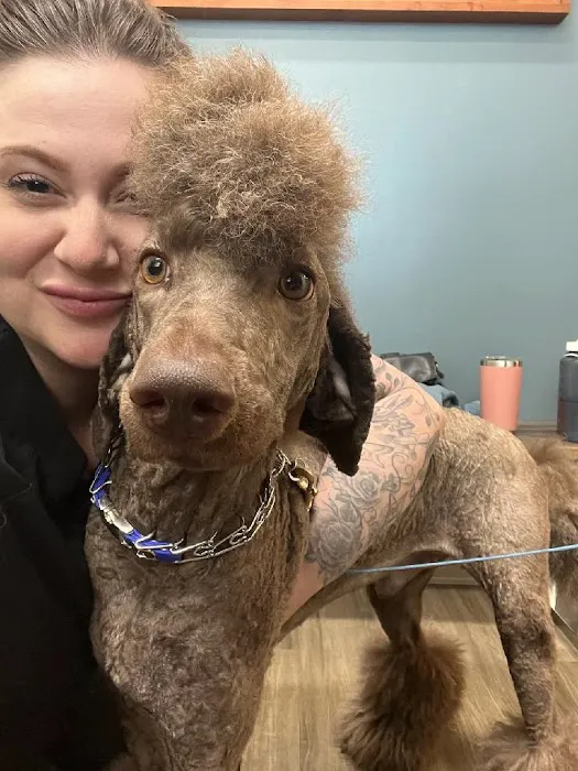 Capital Animal Hospital Picture 2