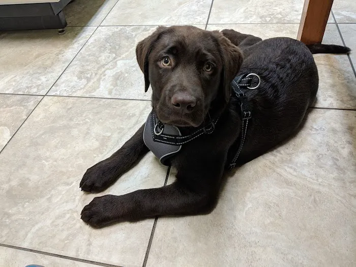 Shandon-Wood Animal Clinic Picture 8