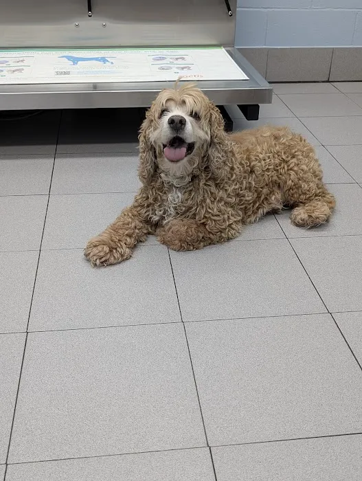 Shandon-Wood Animal Clinic Picture 7