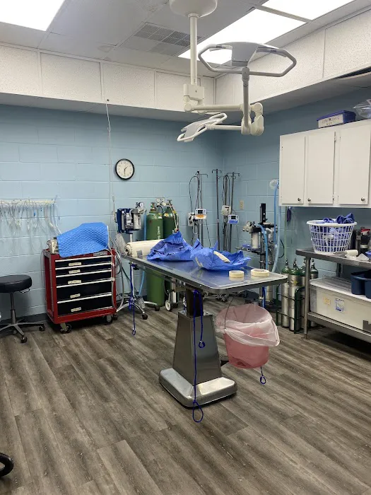 Garners Ferry Animal Hospital Picture 6