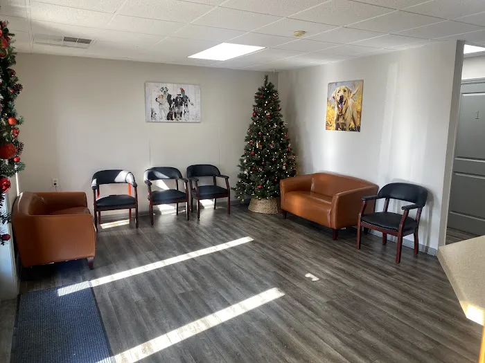 Garners Ferry Animal Hospital Picture 7