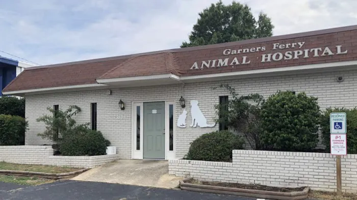 Garners Ferry Animal Hospital Picture 8
