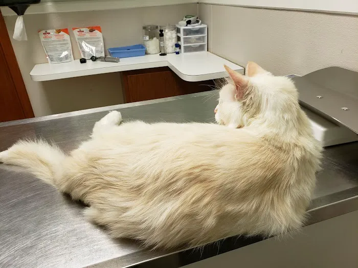 Garners Ferry Animal Hospital Picture 2