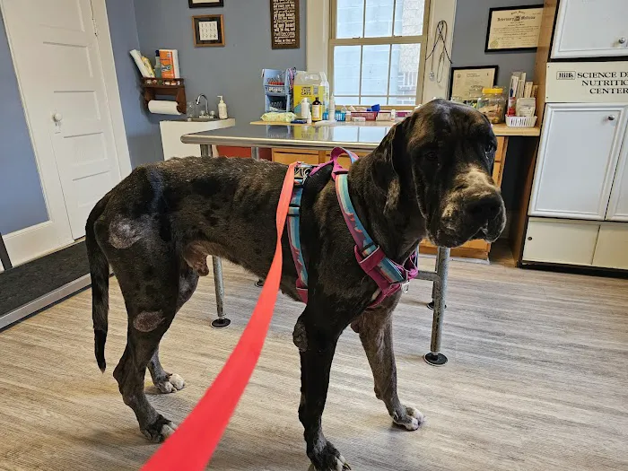 Rosewood Drive Animal Clinic Picture 5
