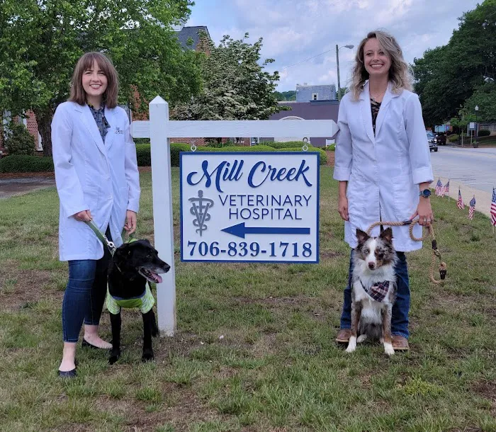 Mill Creek Veterinary Hospital Picture 7