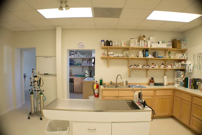 Clarkesville Veterinary Hospital Picture 3