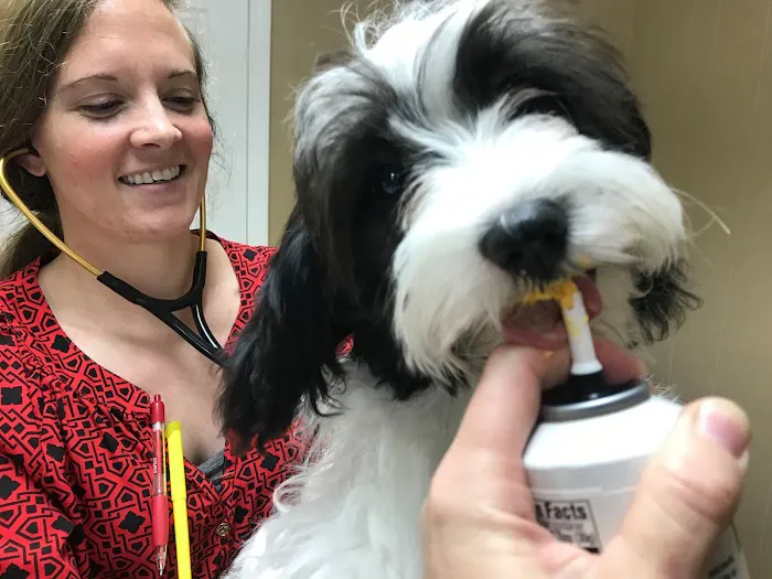 Andrews Veterinary Hospital Picture 6
