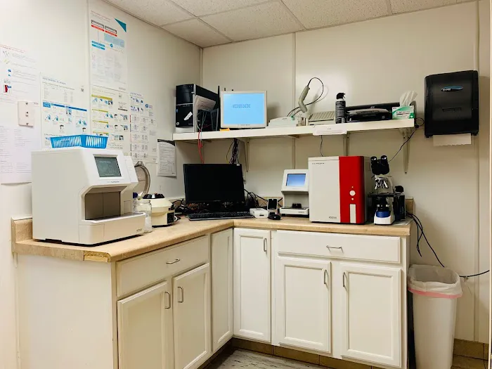 Andrews Veterinary Hospital Picture 8