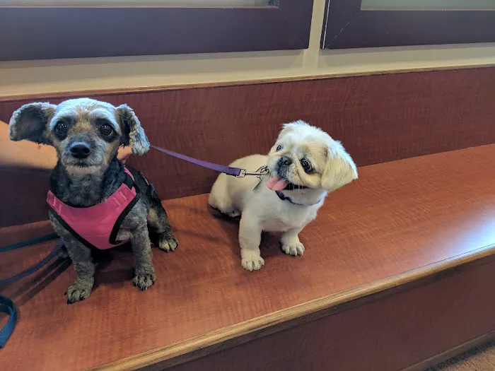 Lake Chatuge Animal Hospital Picture 2