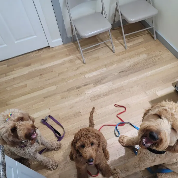 Big Bear Veterinary Clinic Picture 4