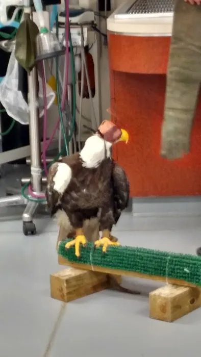 Rocky Point Animal Hospital Picture 2